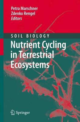 Nutrient Cycling in Terrestrial Ecosystems(English, Electronic book text, Marschner Petra)