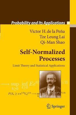 Self-Normalized Processes(English, Electronic book text, Pena Victor H.)