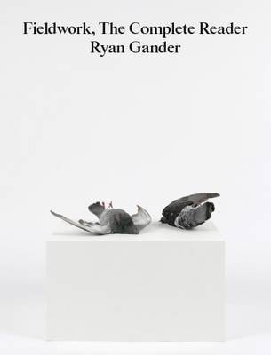 Fieldwork(English, Paperback, Gander Ryan)