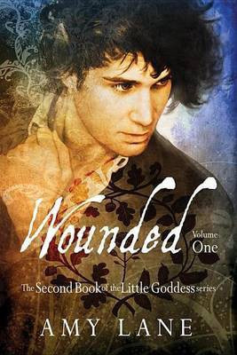 Wounded, Vol. 1(English, Electronic book text, Lane Amy)
