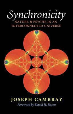 Synchronicity(English, Electronic book text, Ph.D. Dr Cambray Joseph)
