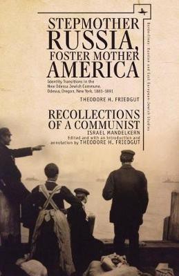 Stepmother Russia, Foster Mother America(English, Electronic book text, Friedgut Theodore)