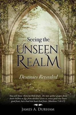 Seeing the Unseen Realm(English, Paperback, Durham James A)