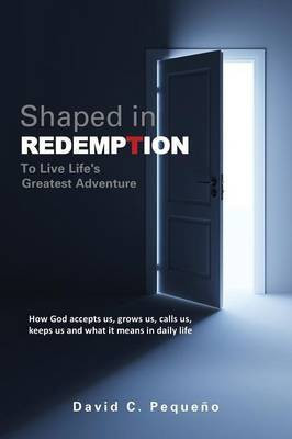 Shaped in Redemption to Live Life's Greatest Adventure(English, Paperback, Pequeno David C)