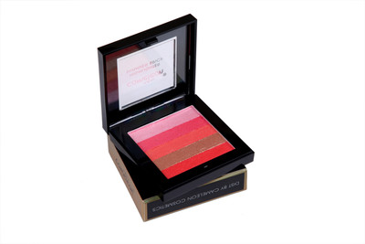 Cameleon Shimmer Brick  Highlighter(8)