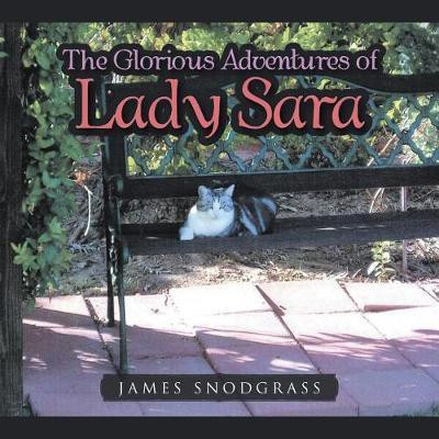 The Glorious Adventures of Lady Sara(English, Paperback, Snodgrass James)