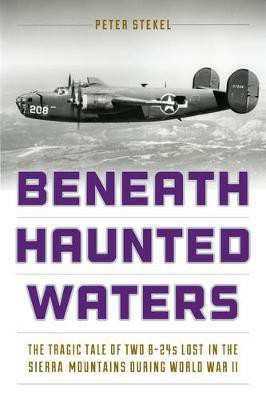 Beneath Haunted Waters(English, Paperback, Stekel Peter)