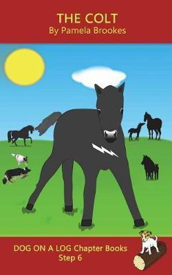 The Colt Chapter Book(English, Paperback, Brookes Pamela)