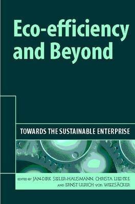 Eco-efficiency and Beyond(English, Electronic book text, unknown)