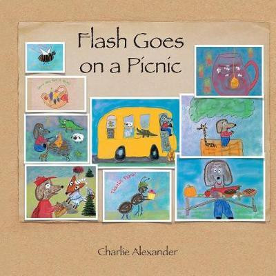 Flash Goes on a Picnic(English, Paperback, Alexander Charlie)