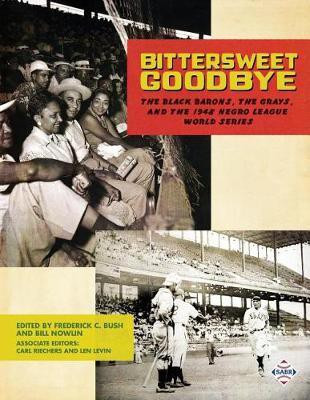 Bittersweet Goodbye(English, Paperback, unknown)