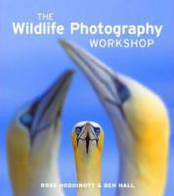 Wildlife Photography Workshop, The(English, Paperback, Hoddinott)