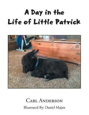 A Day in the Life of Little Patrick(English, Paperback, Anderson Carl)