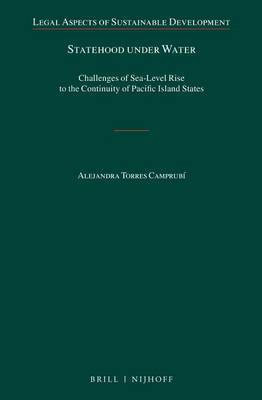 Statehood Under Water(English, Electronic book text, Torres Camprubi Alejandra)