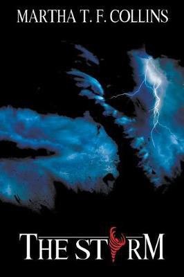 The Storm(English, Paperback, Collins Martha T F)