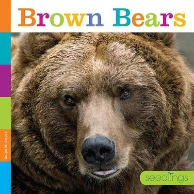 Seedlings: Brown Bears(English, Paperback, Arnold Quinn M)