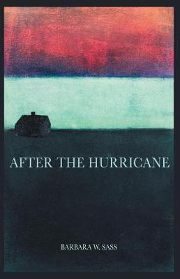 After the Hurricane(English, Paperback, Sass Barbara W)