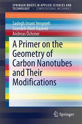 A Primer on the Geometry of Carbon Nanotubes and Their Modifications(English, Electronic book text, unknown)