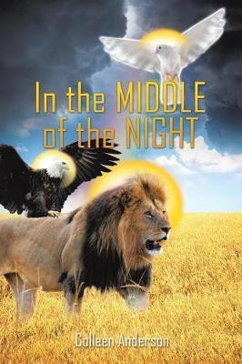 In the Middle of the Night(English, Paperback, Anderson Colleen)