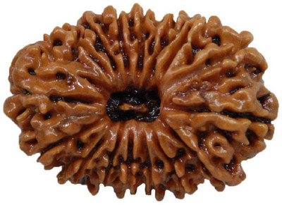 SWASTIK 16 MUKHI RUDRAKSH Wood