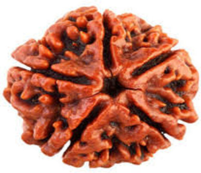 SWASTIK 5 MUKHI RUDRAKSH Wood