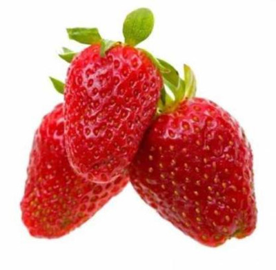 FRESHO Strawberry Seeds(100 Seeds) Seed(100 per packet)