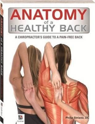 Anatomy of a Healthy Back(English, Paperback, unknown)