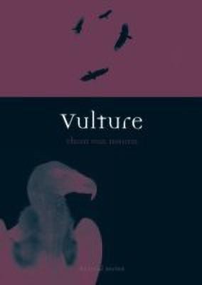 Vulture(English, Paperback, Dooren Thom van)