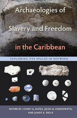 Archaeologies of Slavery and Freedom in the Caribbean(English, Electronic book text, unknown)