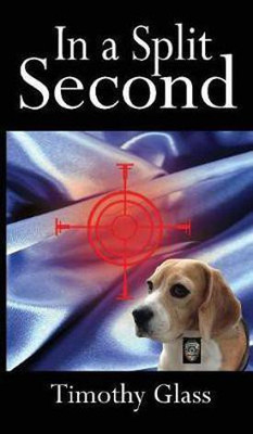 In a Split Second(English, Hardcover, Glass Timothy)