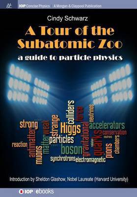 A Tour of the Subatomic Zoo(English, Electronic book text, Schwarz Cindy)