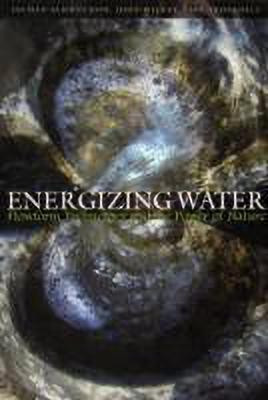 Energizing Water(English, Paperback, Schwuchow Jochen)