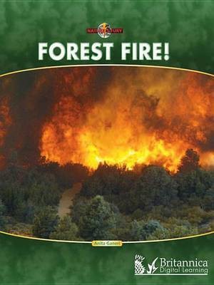 Forest Fire!(English, Electronic book text, Ganeri Anita)