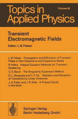 Transient Electromagnetic Fields(English, Hardcover, unknown)