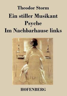 Ein stiller Musikant / Psyche / Im Nachbarhause links(German, Paperback, Storm Theodor)