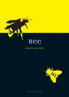 Bee(English, Paperback, Preston Claire)