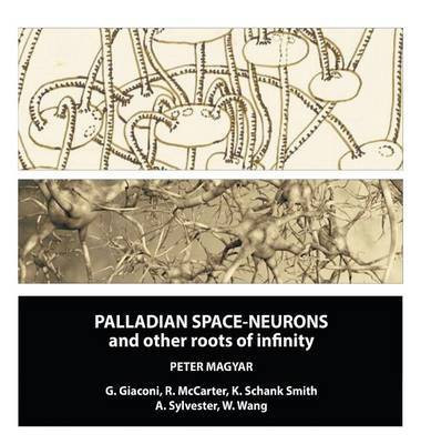 Palladian Space-Neurons and other Roots of Infinity(English, Hardcover, Magyar Peter)