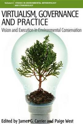 Virtualism, Governance and Practice(English, Electronic book text, unknown)
