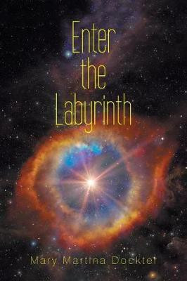 Enter the Labyrinth(English, Paperback, Dockter Mary Martina)
