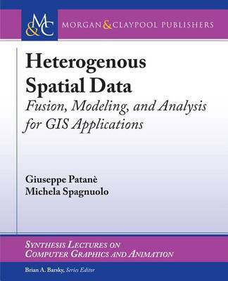 Heterogeneous Spatial Data(English, Electronic book text, Patane Giuseppe)
