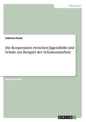 Die Kooperation zwischen Jugendhilfe und Schule am Beispiel der Schulsozialarbeit(German, Paperback, Puetz Sabrina)
