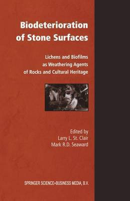 Biodeterioration of Stone Surfaces(English, Electronic book text, St Clair Larry)