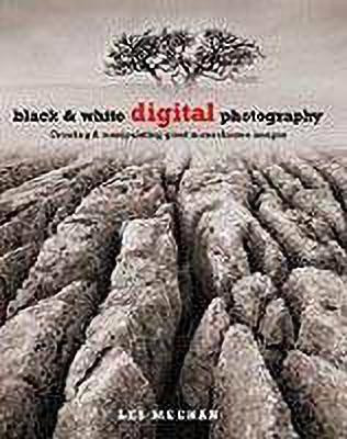 Black and White Digital Photography(English, Paperback, Meehan Les)
