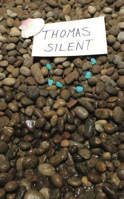 Thomas Silent(English, Paperback, Gribbin Ben)