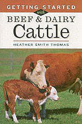 Getting Started with Beef & Dairy Cattle(English, Paperback, Smith Thomas Heather)