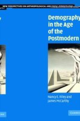 Demography in the Age of the Postmodern(English, Paperback, Riley Nancy E.)