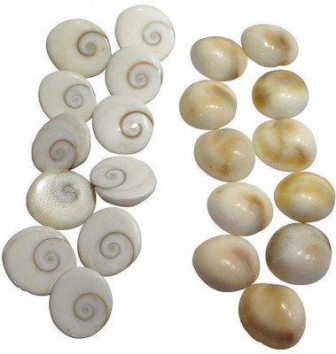 NEERAJ Gomti Chakra stone For Pooja - Gaumti - gomti - gomati Chakra Shell -21 pc(100 g)