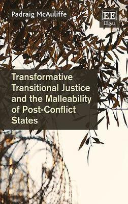 Transformative Transitional Justice and the Malleability of Post-Conflict States(English, Hardcover, McAuliffe Padraig)