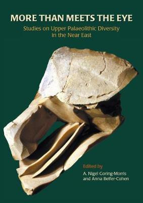 More than Meets the Eye(English, Paperback, Goring-Morris A. Nigel)