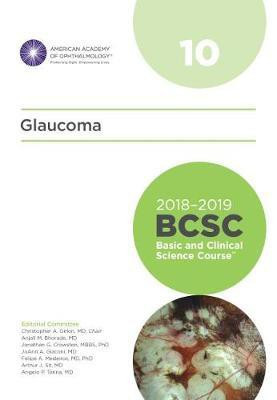 2018-2019 Basic and Clinical Science Course (BCSC), Section 10: Glaucoma(English, Paperback, unknown)